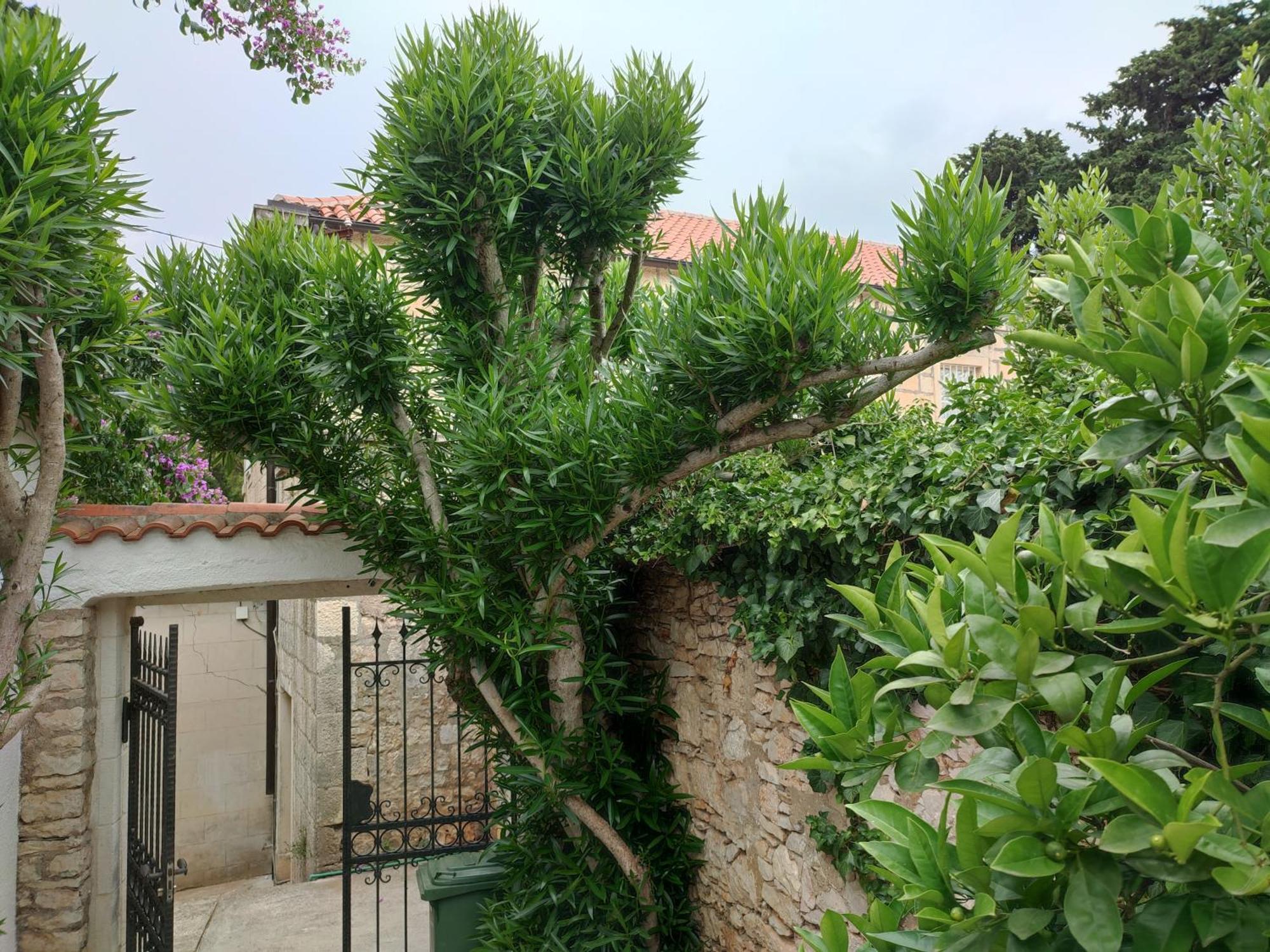 Villa Rustika سوتيفان المظهر الخارجي الصورة
